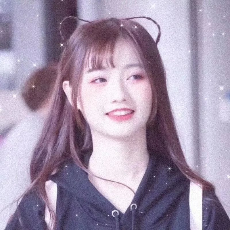 同路前行封面